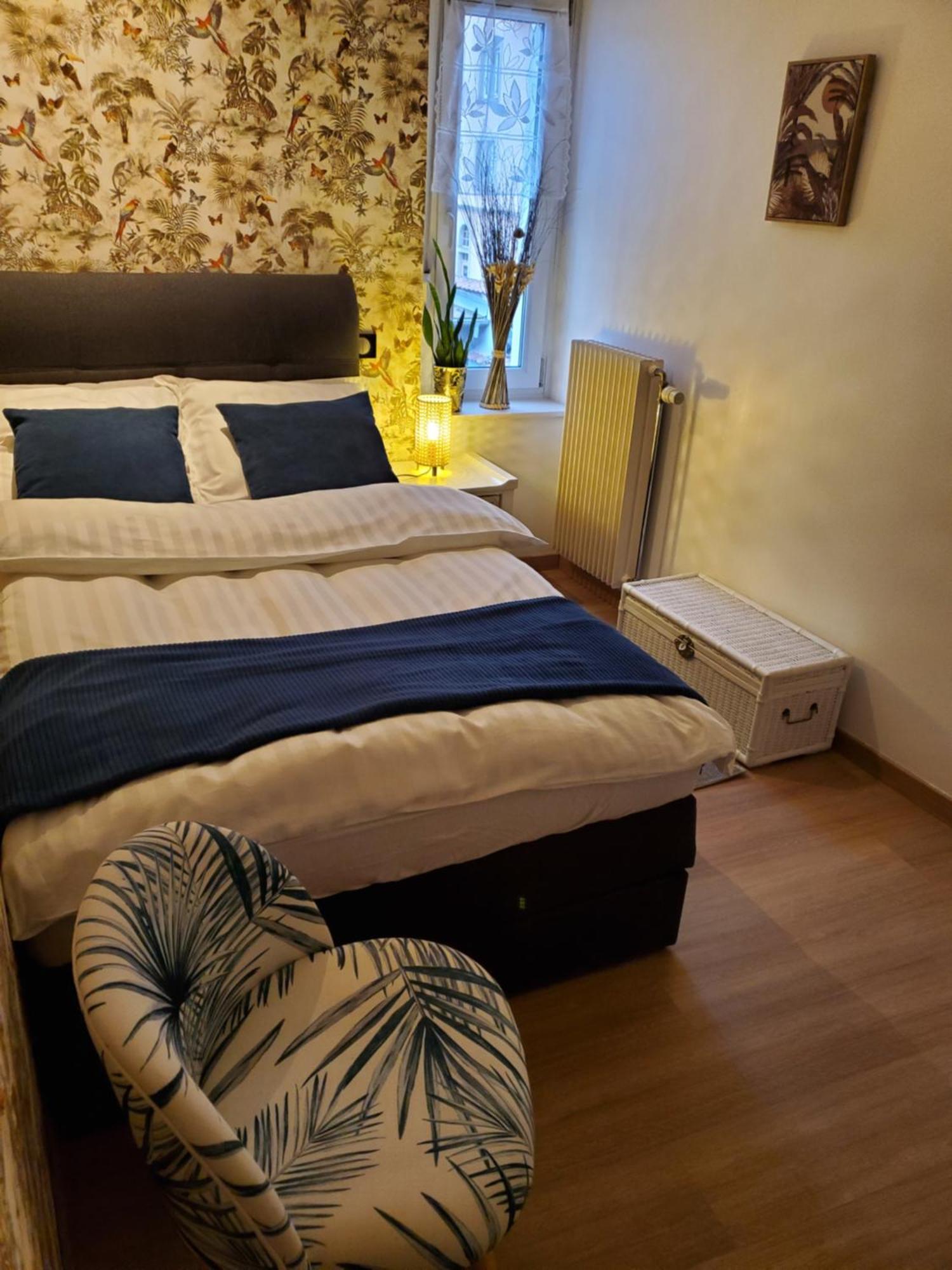 Mirka & Franck Apartment Chic 4 Stars Parking Free Кольмар Экстерьер фото
